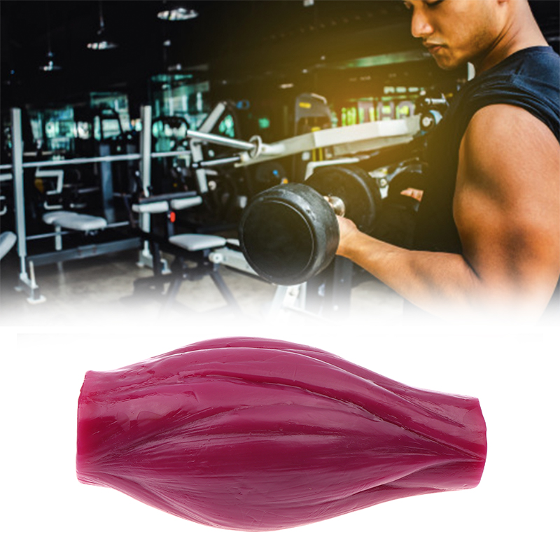 Modello per la perdita di gras - Nutrition For Fitness Course recensione e prezzo